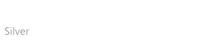 Microsoft Partner - Silver Application Development